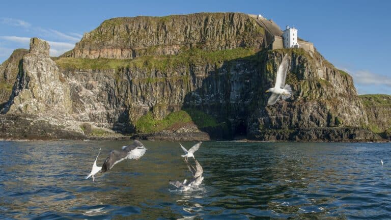 Rathlin Island Getty Images