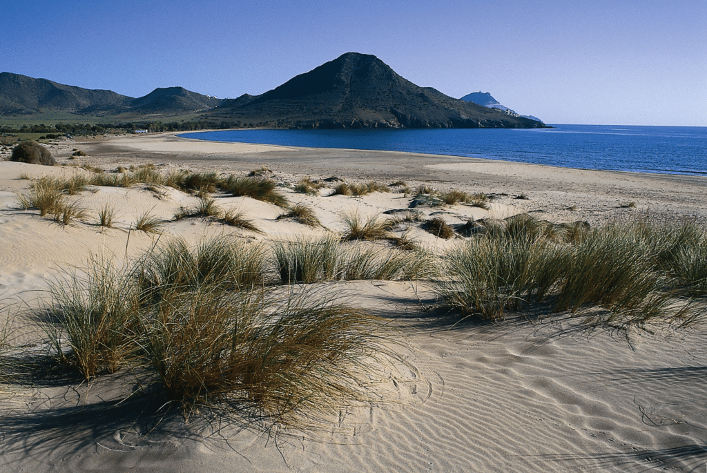 Almeria has some amazing beaches, including Playa de los Muertos. Credit: Handout